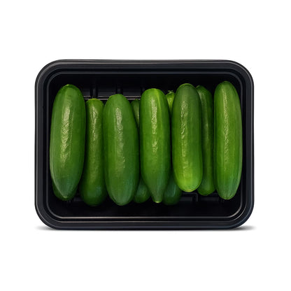 Cucumber Baby Lebanese Pack