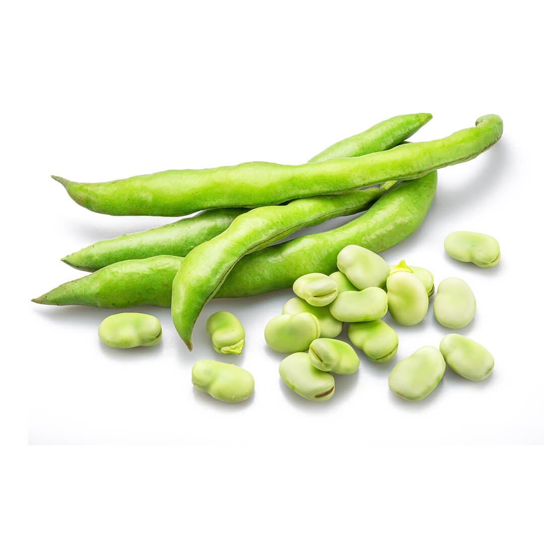 Broad Beans