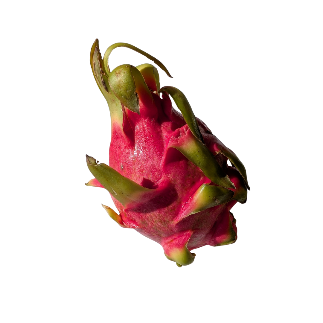 Dragonfruit