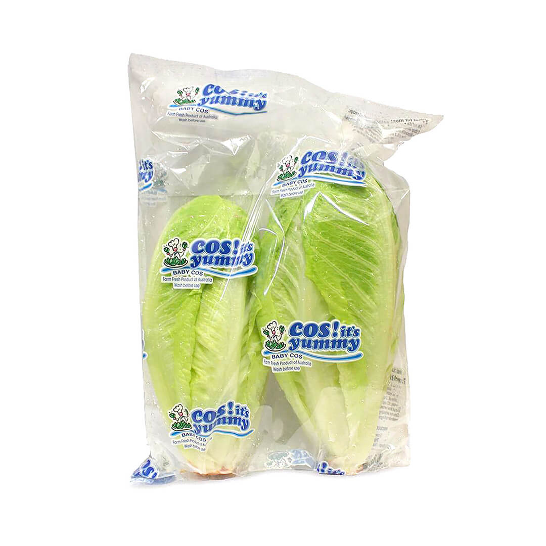 Lettuce Cos Twin Pack