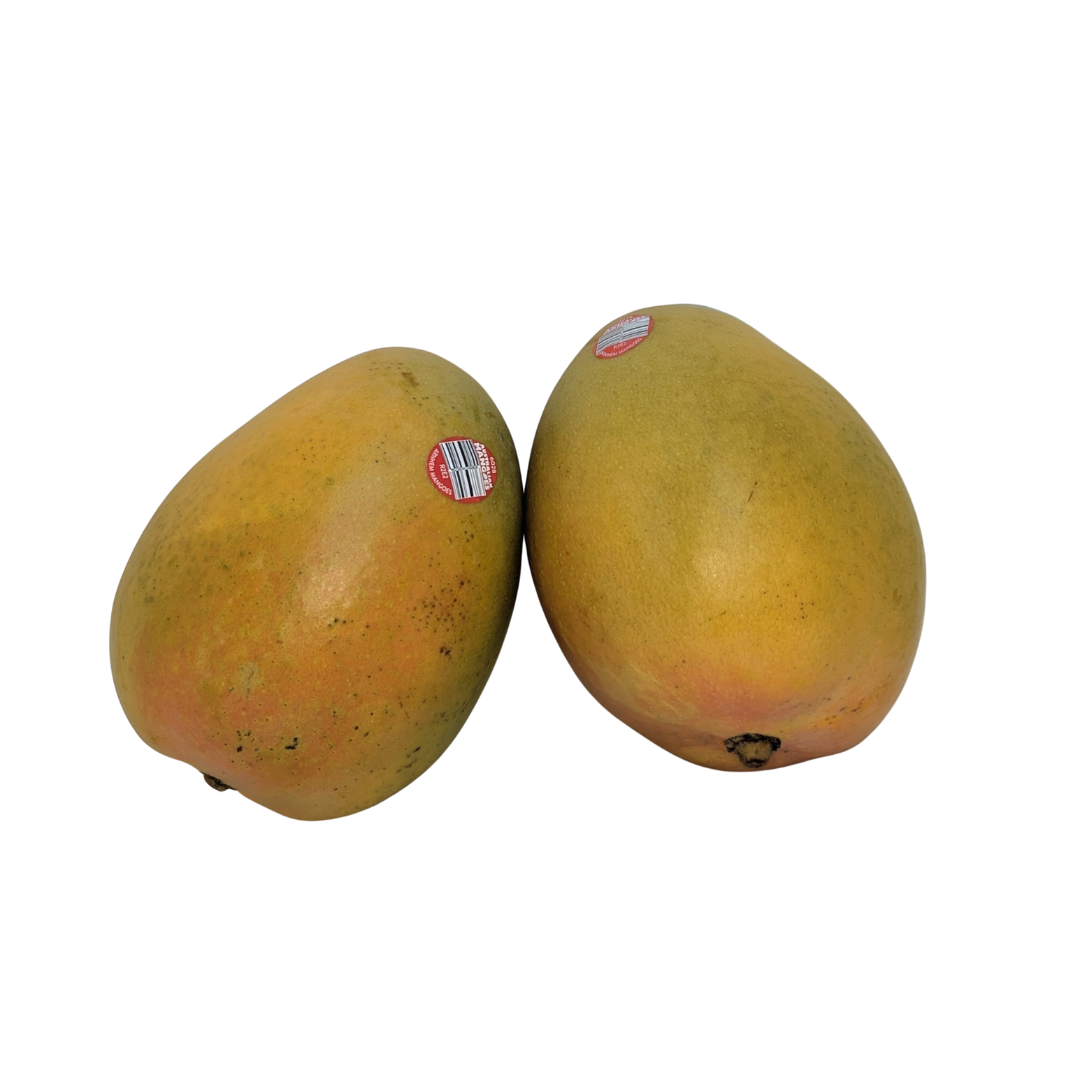 Mangoes R2E2