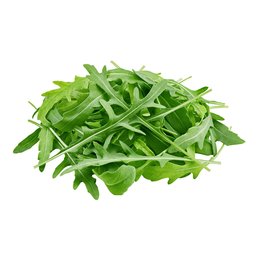 Rocket Loose