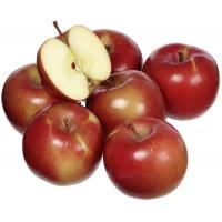 apple-fuji_1811978511