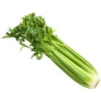 celery_whole