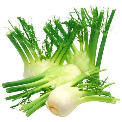 fennel