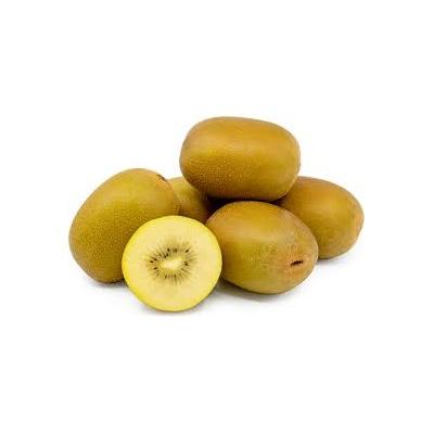 gold_kiwi