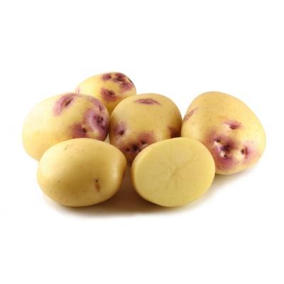 kestral_potato
