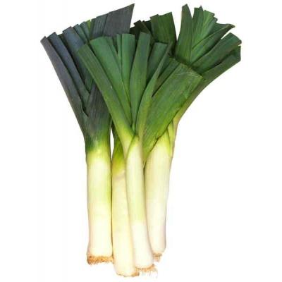 leeks_bunch