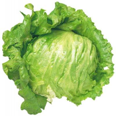 lettuce_ice_berg