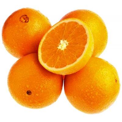 oranges_navel
