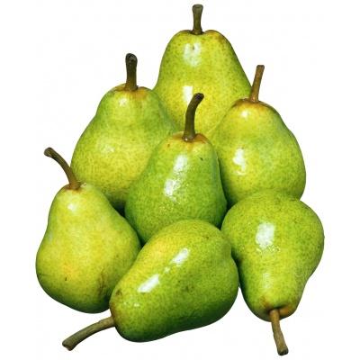 pear-dutchess