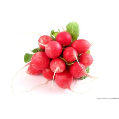 radish_loose
